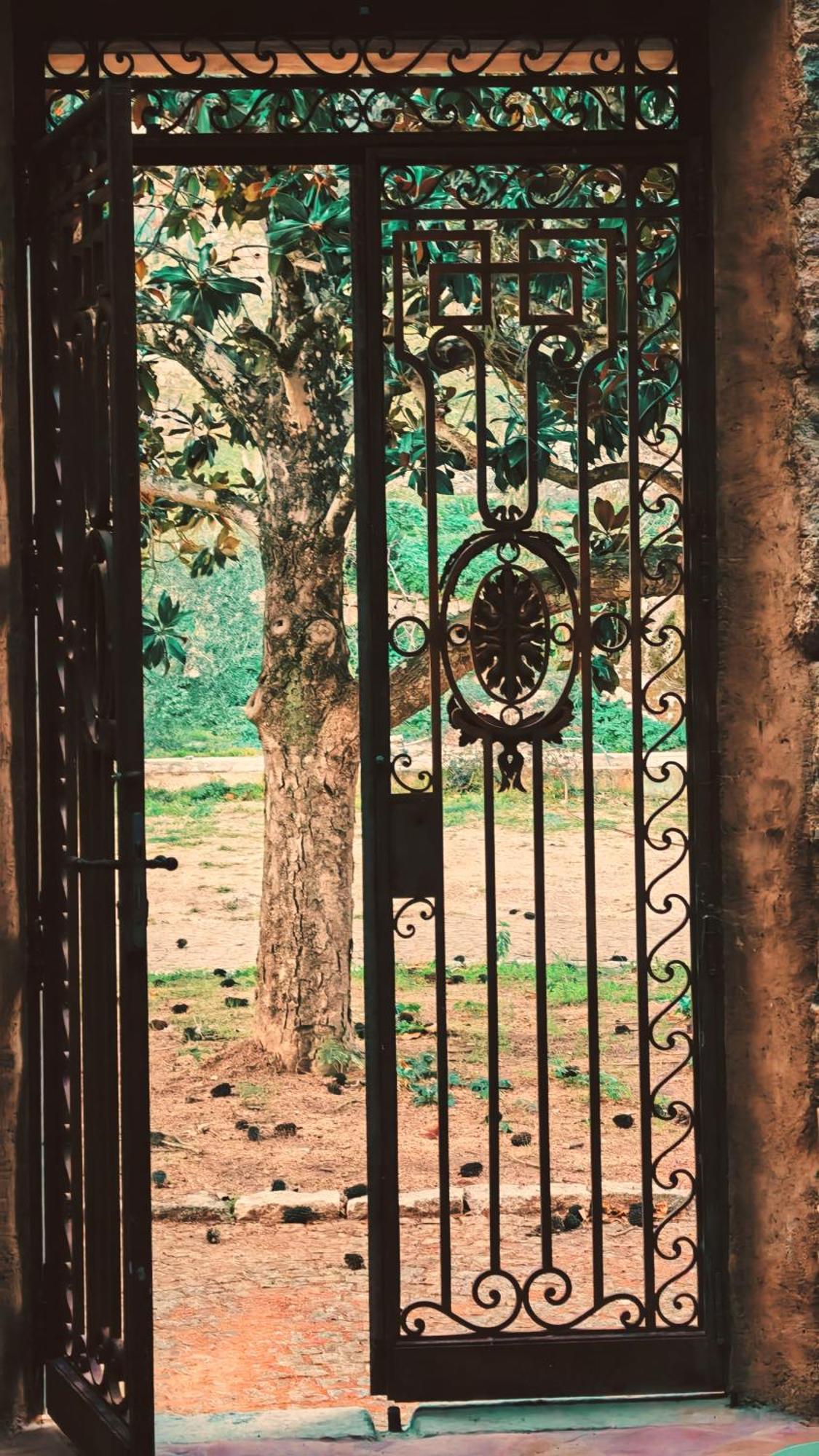 Le Hameau De Saparale Sartène Extérieur photo