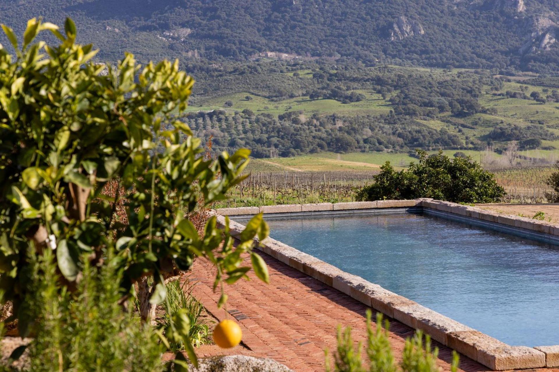 Le Hameau De Saparale Sartène Extérieur photo
